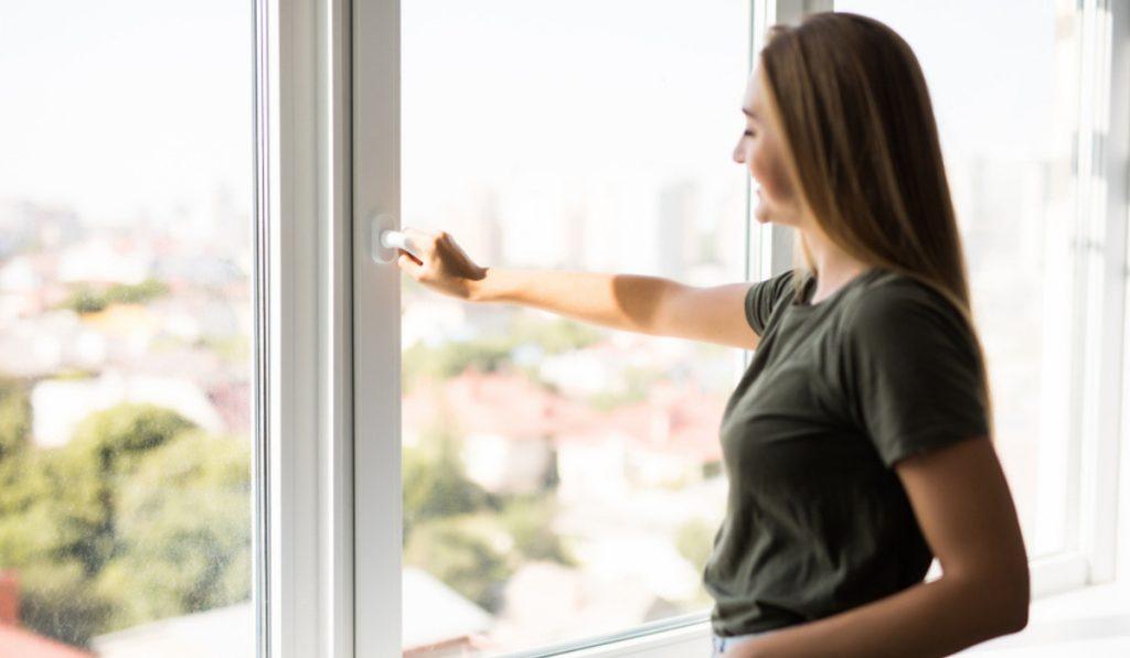 Cheap vs. Expensive Windows: Understanding the Differences