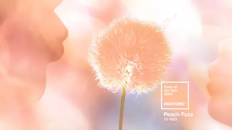 Unveiling the Allure of Peach Exploring Its Color Code