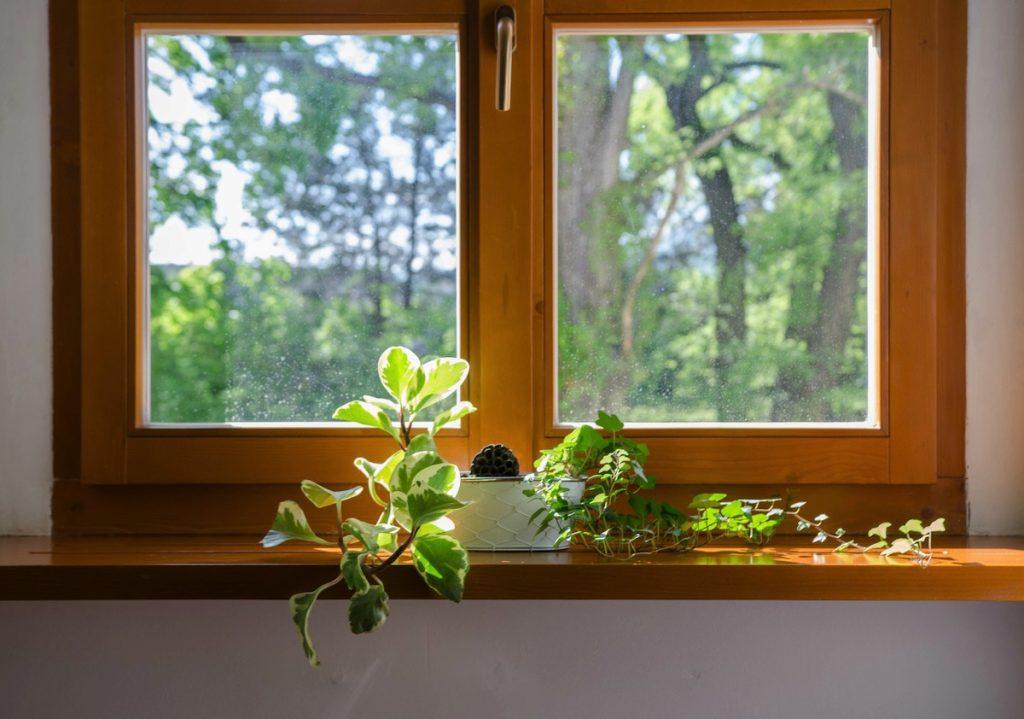 Wooden Windows - Protection and Longevity