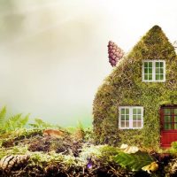 Building a Green Home: Eco-Friendly Construction Methods and Materials
