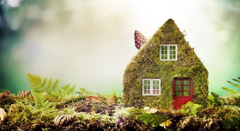 Building a Green Home: Eco-Friendly Construction Methods and Materials