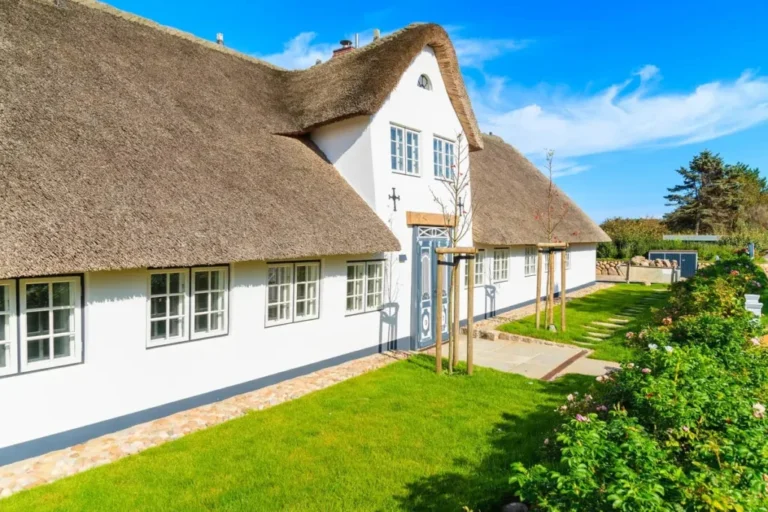 Thatch Roofs