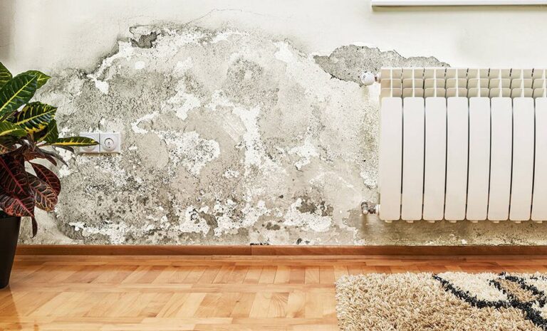 Damp Proofing in the UK How to Tackle Rising Damp in Older Homes