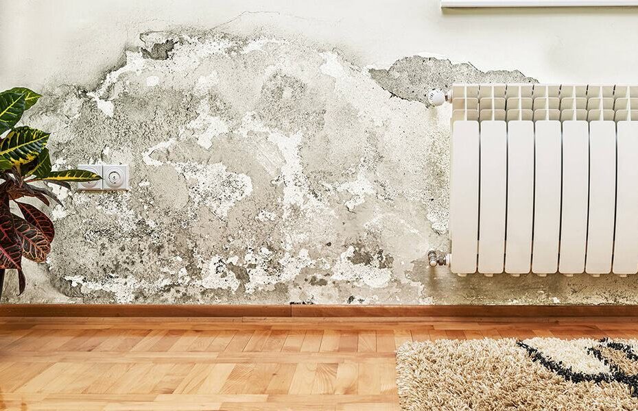 Damp Proofing in the UK How to Tackle Rising Damp in Older Homes