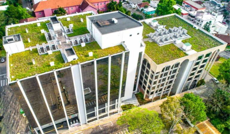 Green Roofs: Bringing Biodiversity to Your Garage or Extension