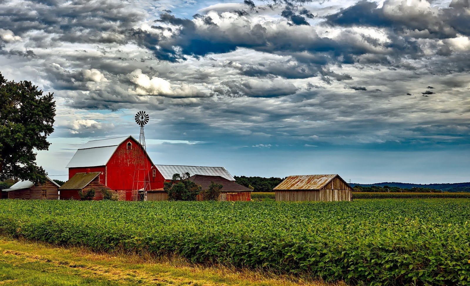 Smallholding for Beginners How much land do you actually need