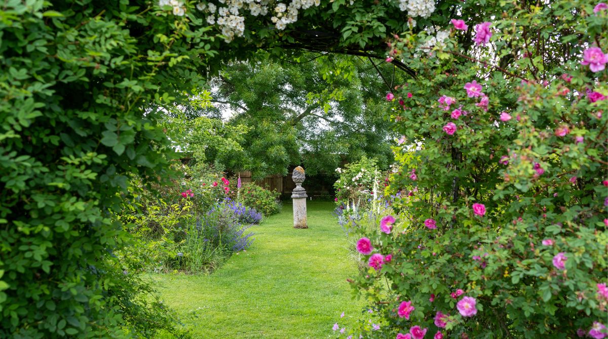 English Country Gardens: Key Plants for a Classic Perennial Border