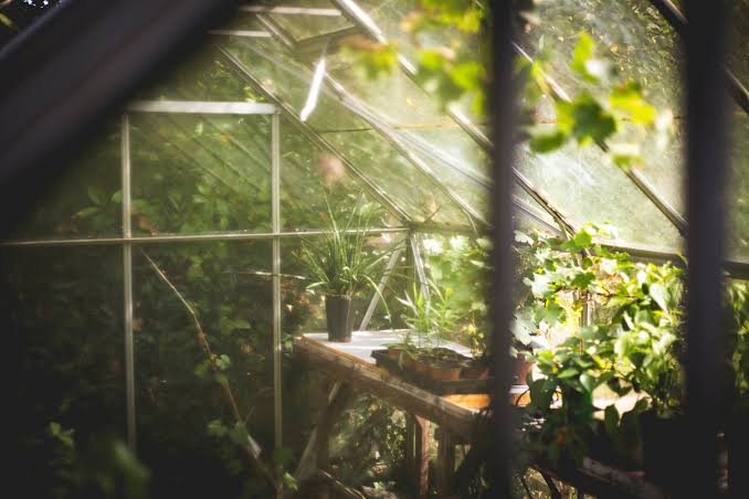 10 Reasons Why Your Garden Needs A Greenhouse (And How It Will Transform Your Yard)