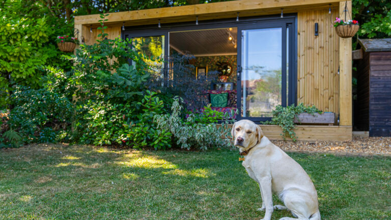 Do I Need Planning Permission for a Shed or Summerhouse? UK Guide